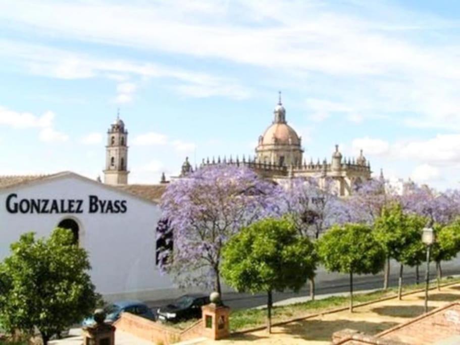 Apartamento Loft Jerez Buleria Apartment Jerez de la Frontera Ngoại thất bức ảnh